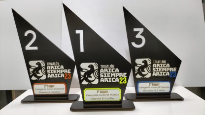 Trofeos y reconocimientos sustentables - Imagen 13