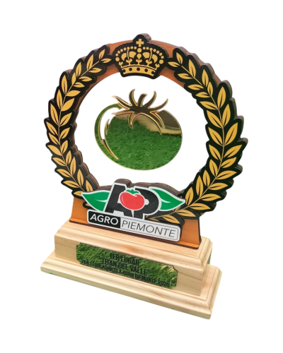 WhatsApp Image 2026-01-07 at 12.34.05 PM (2)-Photoroom