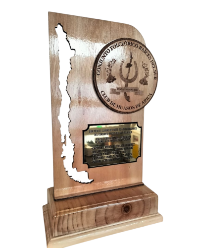 WhatsApp Image 2026-01-07 at 12.34.06 PM (1)-Photoroom