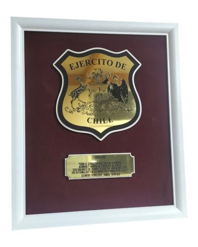 WhatsApp Image 2026-01-10 at 6.42.00 PM (1)