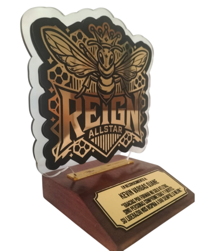 WhatsApp Image 2026-01-10 at 6.42.00 PM-Photoroom